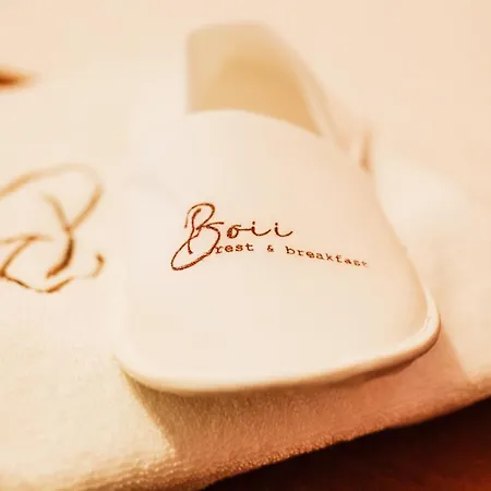Boii Rest & Breakfast セェフェリヒサール